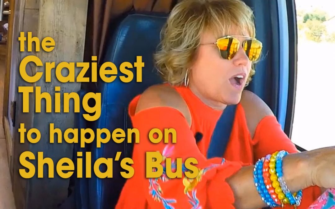 The Craziest thing to happen on Sheila’s Bus (S02E09)